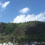 台風21号の影響により天王山ハイキングコースを全面通行禁止に ９月４日〜未定
